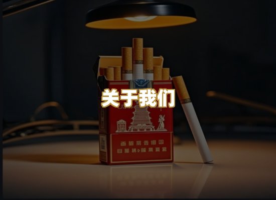 关于我们